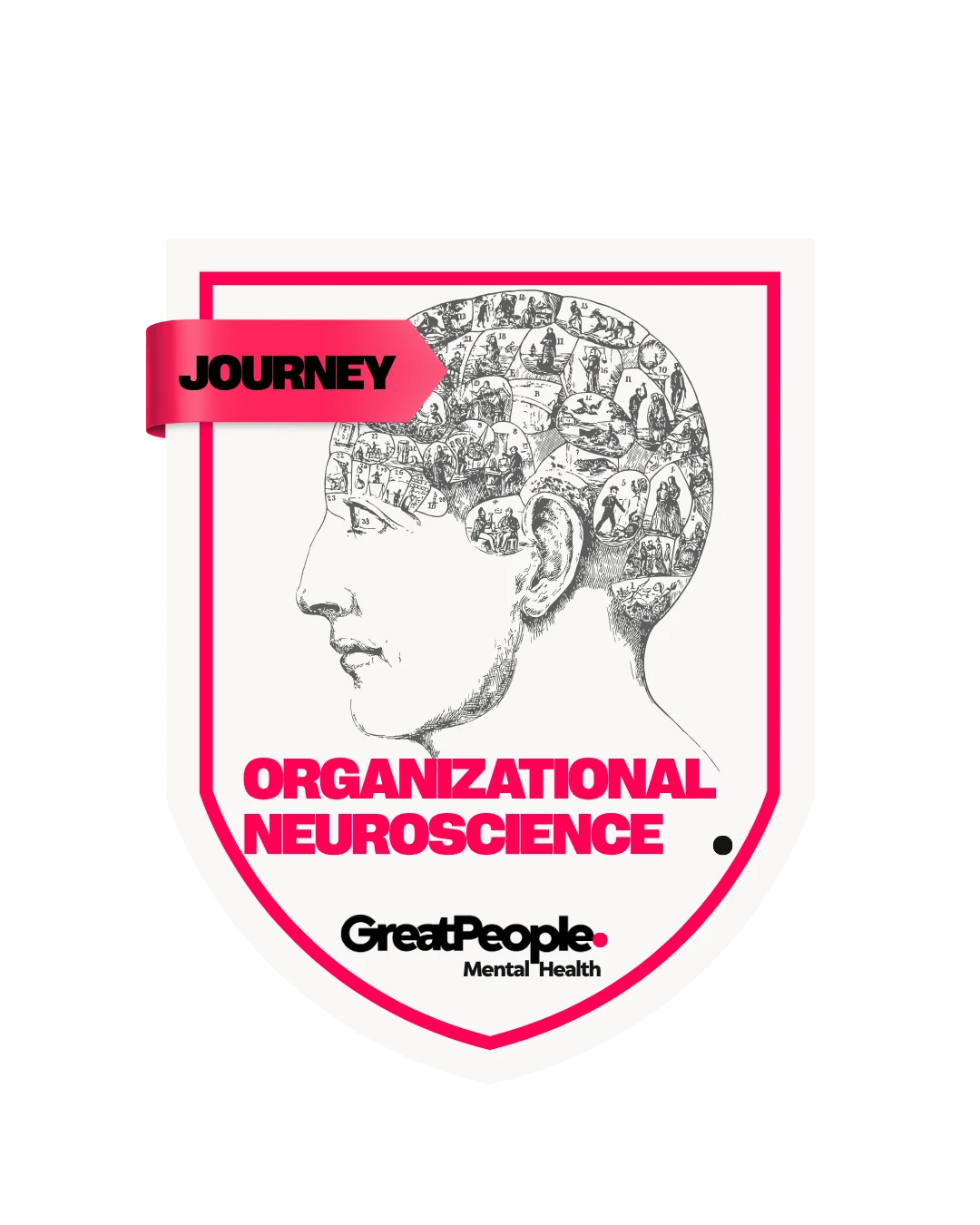 Organizational Neuroscience Journey